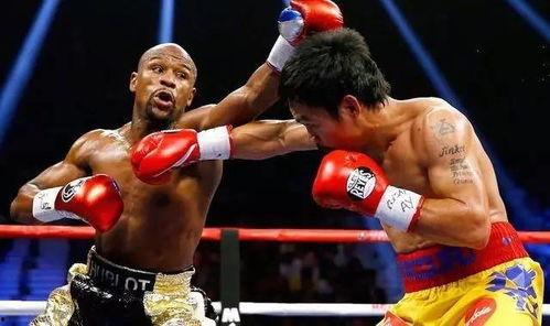 吃瓜娱乐拳击比赛直播视频,直播盛宴，精彩瞬间回顾